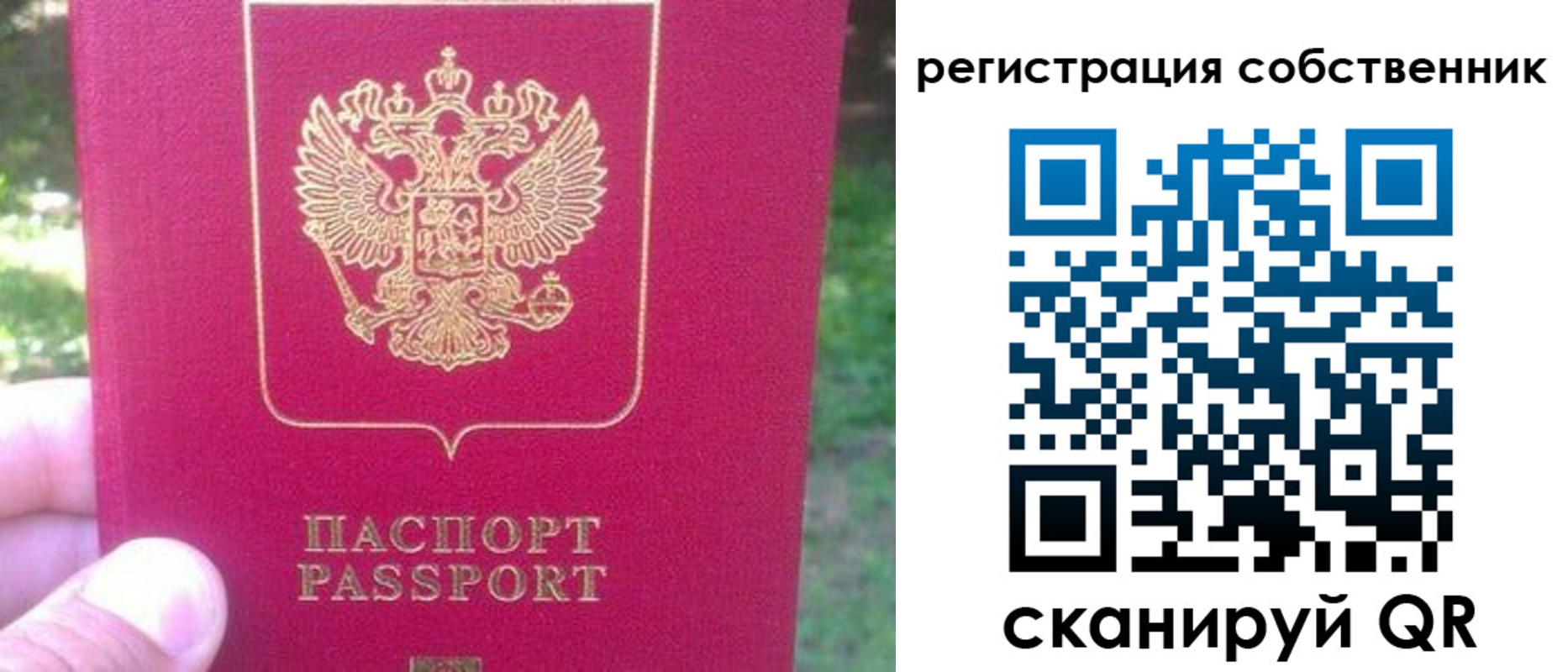 временная регистрация 2025 в Невеле