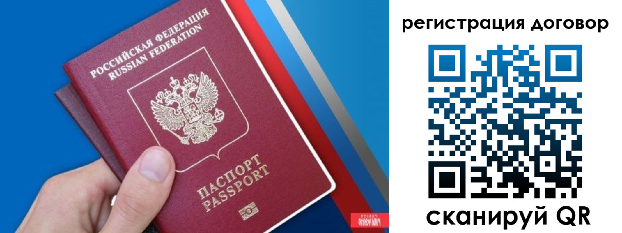 прописка регистрация в Невеле
